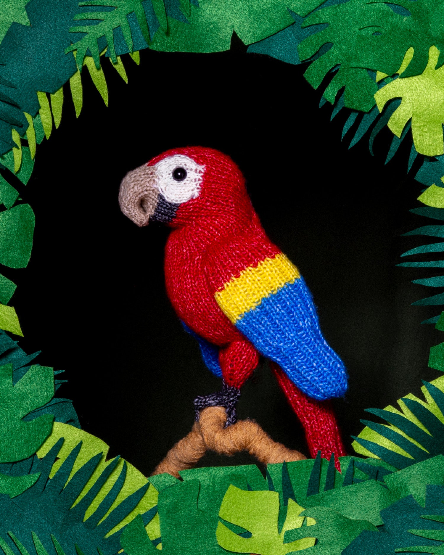 PRE ORDER: Macaw Knitting Kit