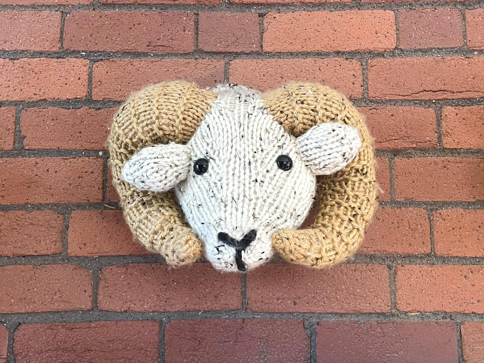 Giant Ram Head Knitting Kit