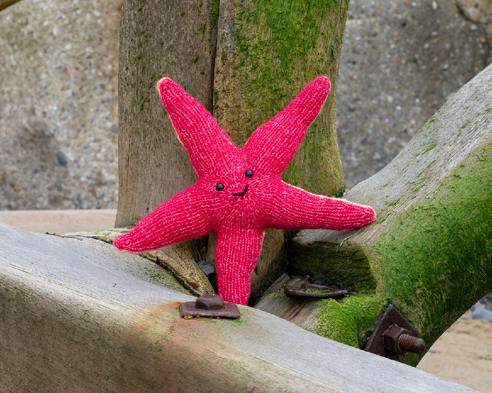 Starfish Kit