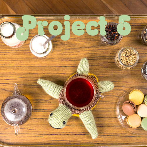 Project 5 Turtle Coaster Kit - First Time Knits (5389381763229)