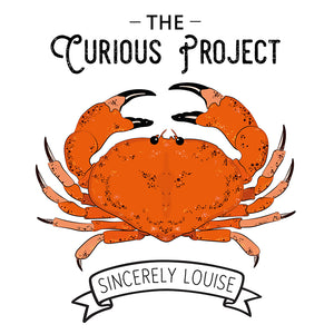 CURIOUS PROJECT - MEET THE ILLUSTRATOR - LOU TAYLOR