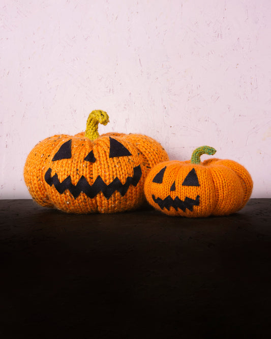Pumpkin Knitting Kit