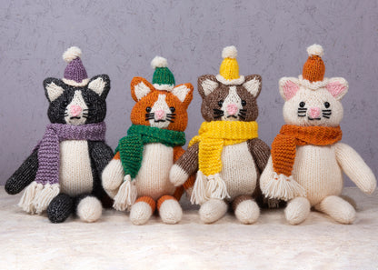 Cat in a Wooly Hat and Scarf - Knitting Kit