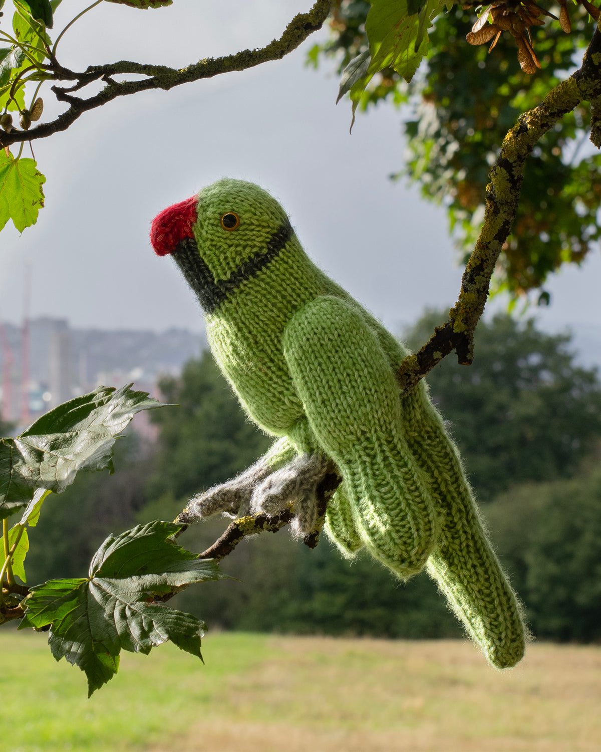 Parakeet Knitting Kit - SHIPPING TIME 3-5 DAYS