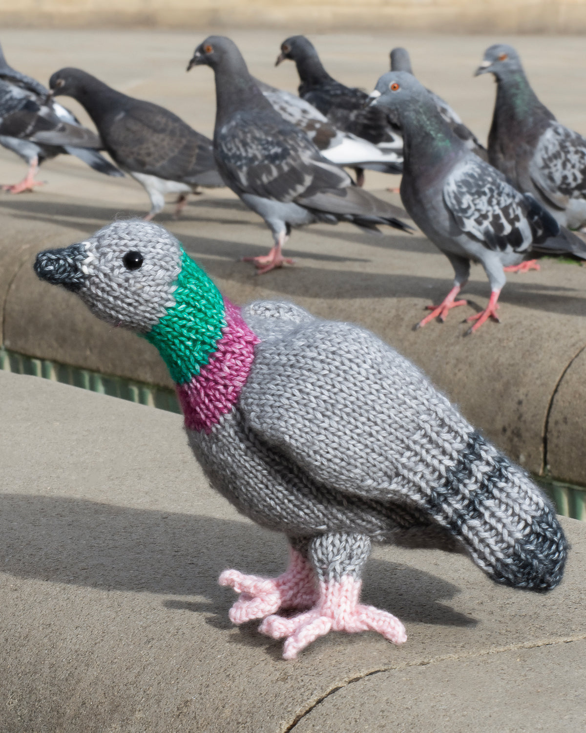 Pigeon Knitting Kit - SHIPPING TIME 3-5 DAYS