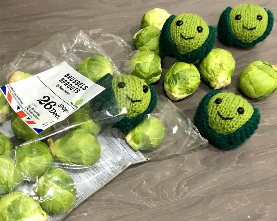 Mini Sprout Knitting Kit